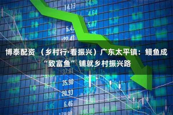 博泰配资 （乡村行·看振兴）广东太平镇：鳗鱼成“致富鱼” 铺就乡村振兴路